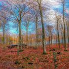 Herbstwald Panorama