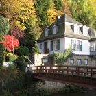 Herbstwald - Sonnenschatten - Hausbrücke - Flussstadt