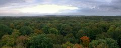 Herbstwald, soweit das Auge reicht...