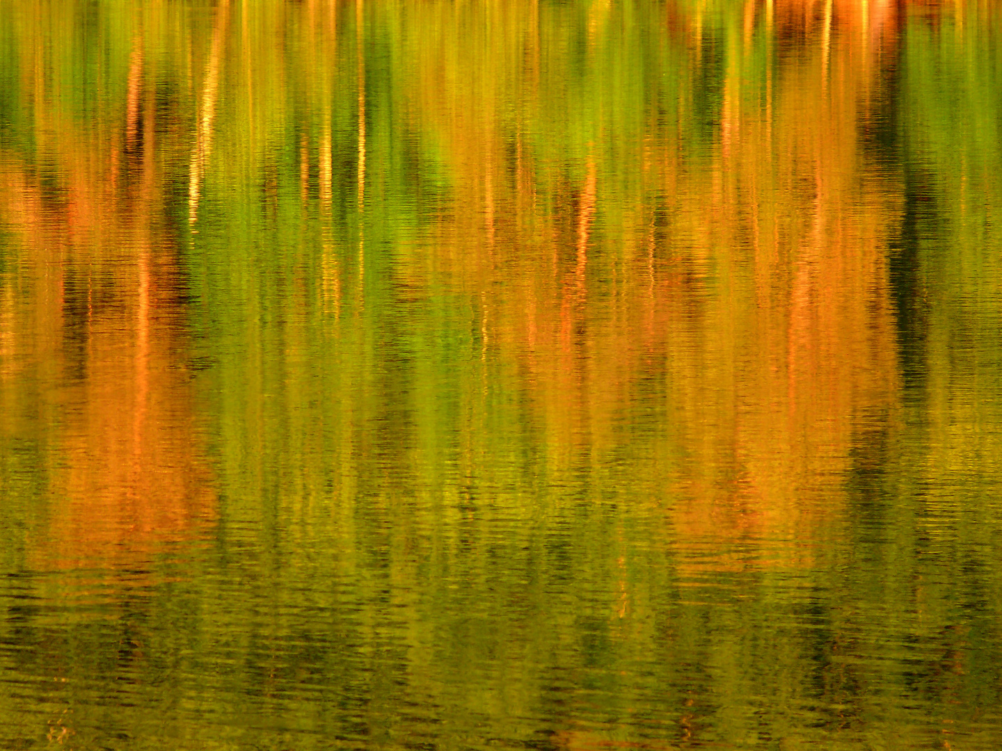 Herbstwald spiegelt sich im See