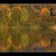 Herbstwald Spiegelung im See