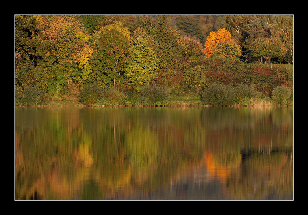 Herbstwald Spiegelung im See