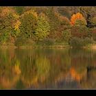 Herbstwald Spiegelung im See