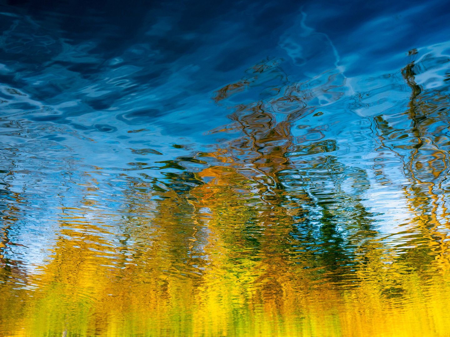 Herbstwald - Spiegelung im See