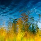 Herbstwald - Spiegelung im See