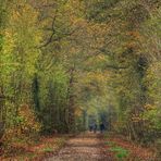 Herbstwald-Tunnel