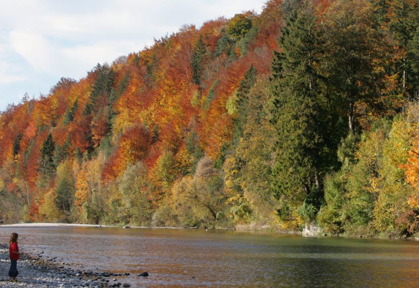 Herbstwald und wie klein wir doch wirken