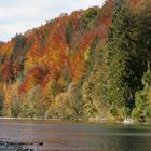 Herbstwald und wie klein wir doch wirken