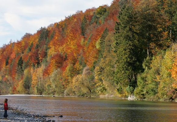 Herbstwald und wie klein wir doch wirken