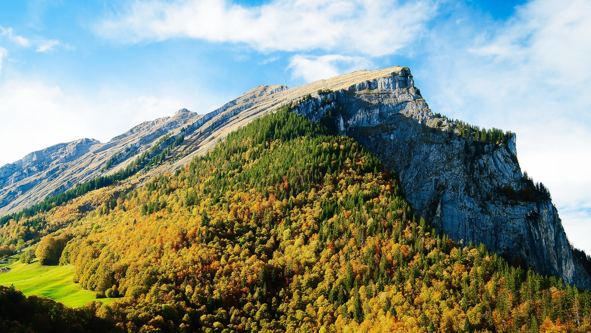 Herbstwald unterhalb der Kanisfluh