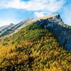 Herbstwald unterhalb der Kanisfluh