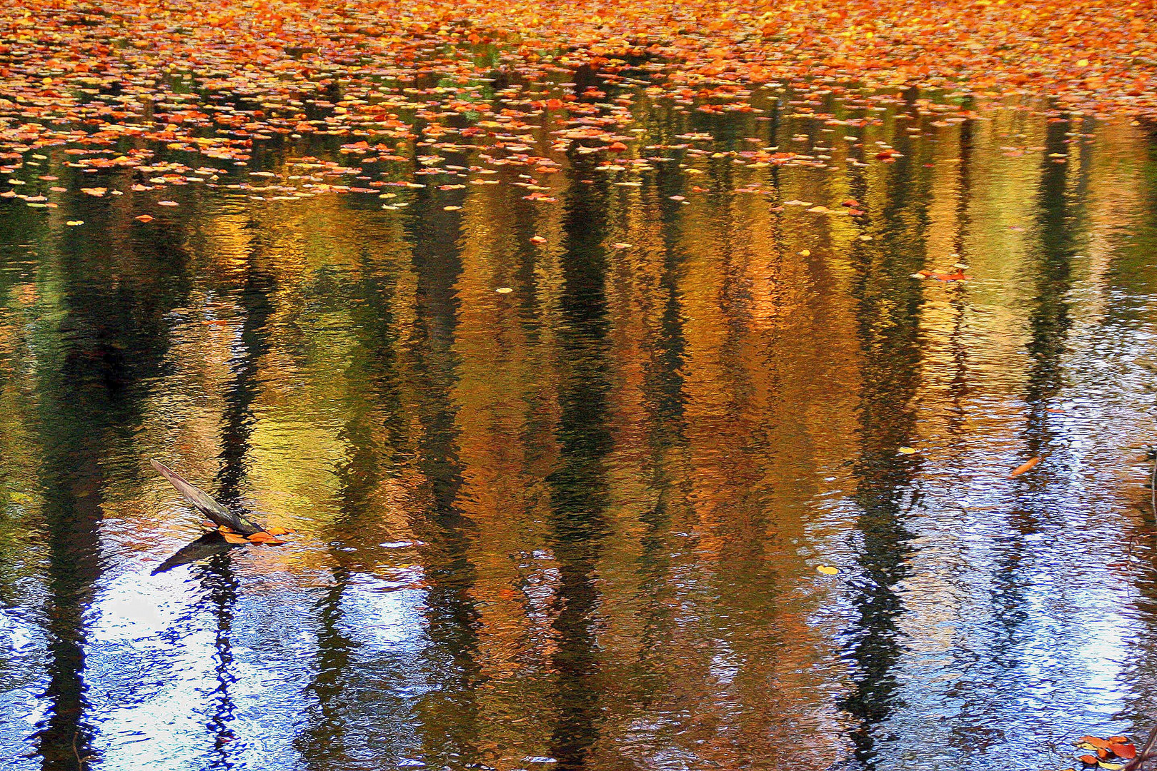 Herbstwald verspiegelt....