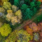 Herbstwald von oben