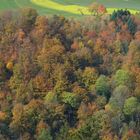 Herbstwald_2