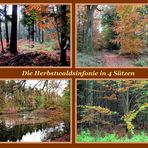 Herbstwaldklänge