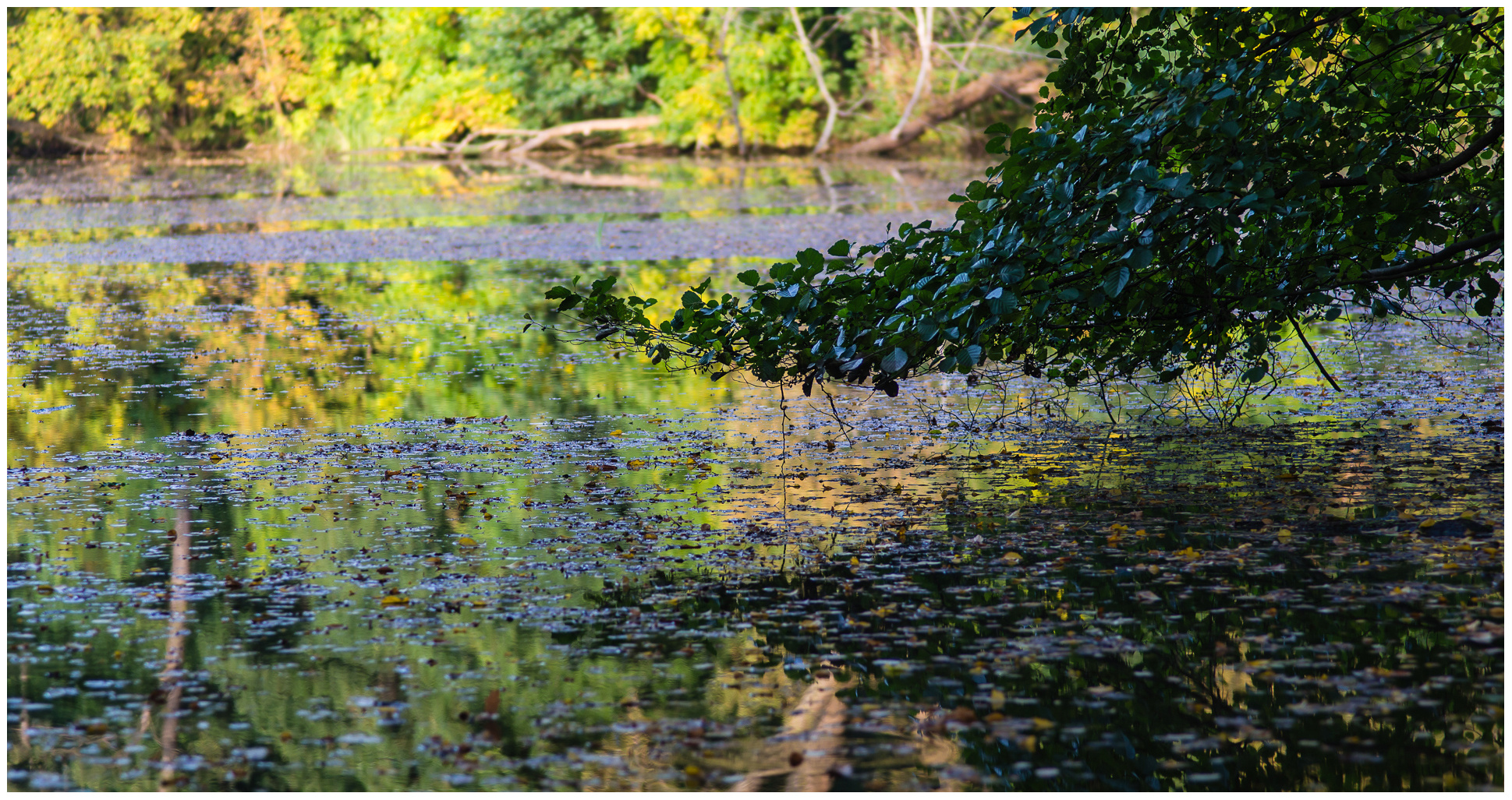 Herbstwaldsee