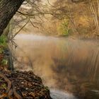 Herbstwaldspiegelung am Rurufer