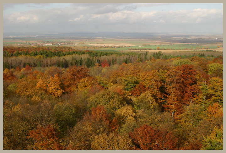 Herbstwaldstimmung