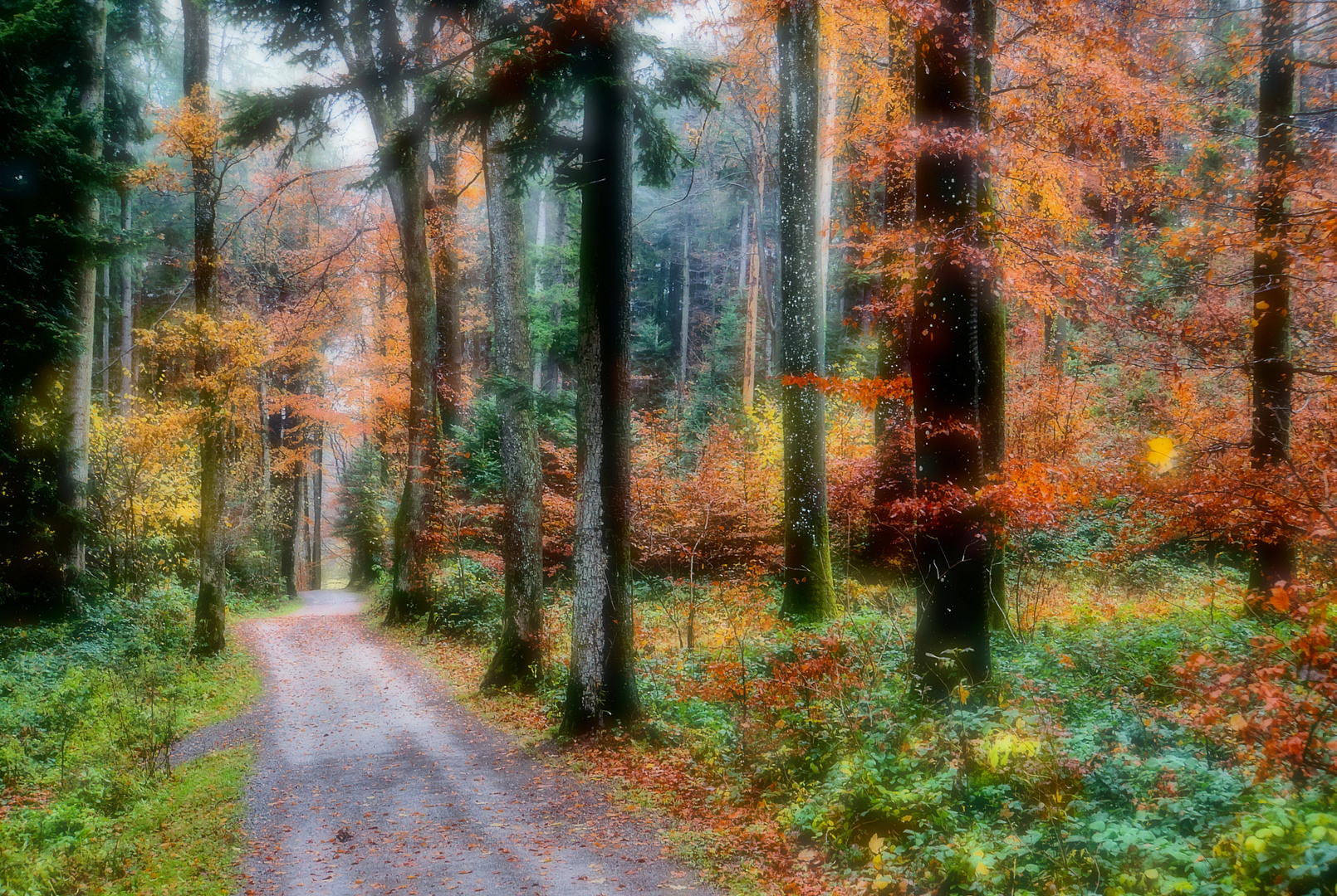 Herbstwaldweg