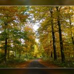 Herbstwaldweg