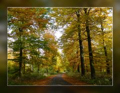 Herbstwaldweg