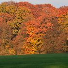 Herbstwand