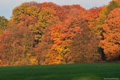 Herbstwand