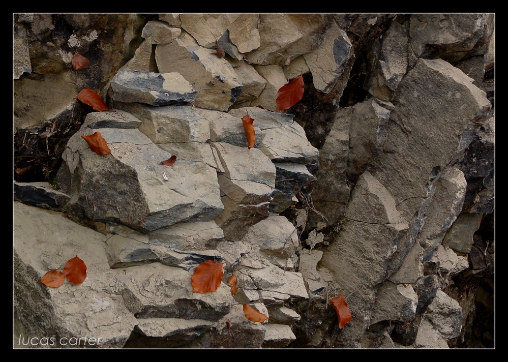 Herbstwand