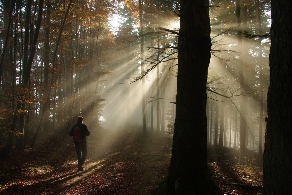 Herbstwanderer