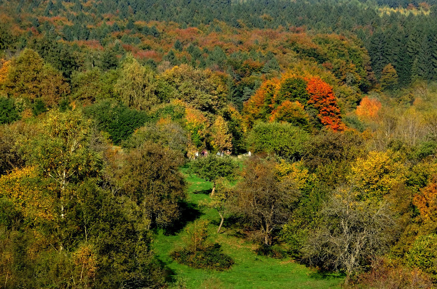 Herbstwanderer ...