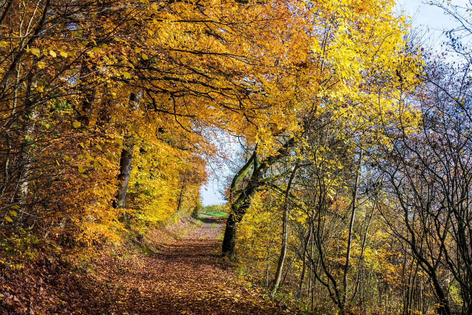 Herbstwandern