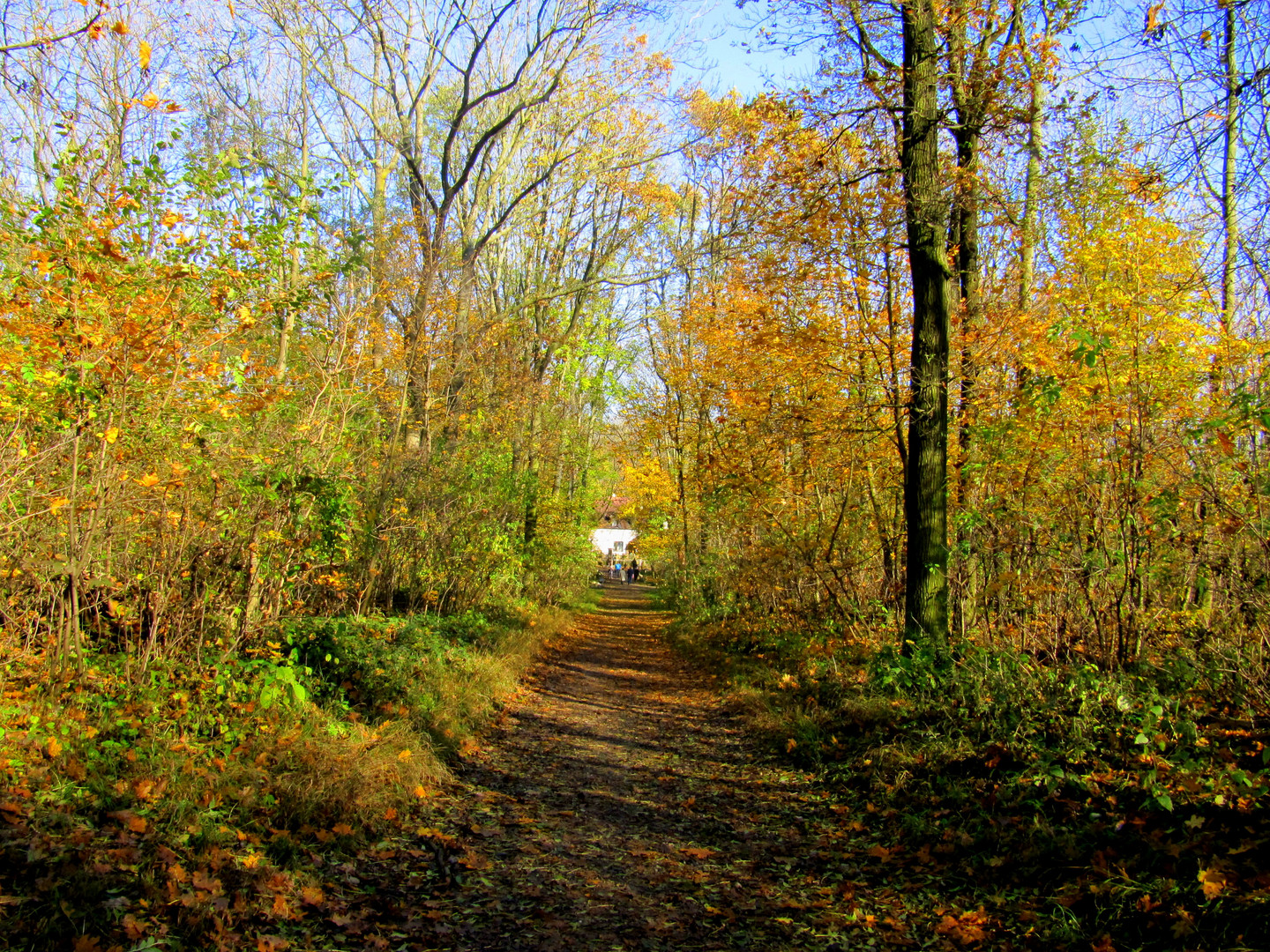 Herbstwandern am Bisamberg