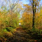 Herbstwandern am Bisamberg