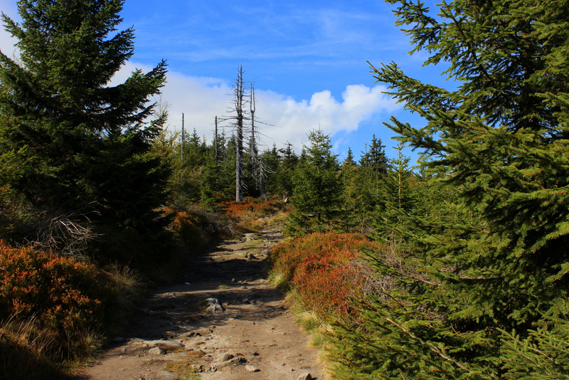 Herbstwandertag am 03.10.2012 im Isergebirge