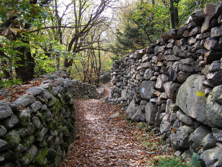 Herbstwanderung 07 durch das Val Bregaglia - von Maloja an den Comersee