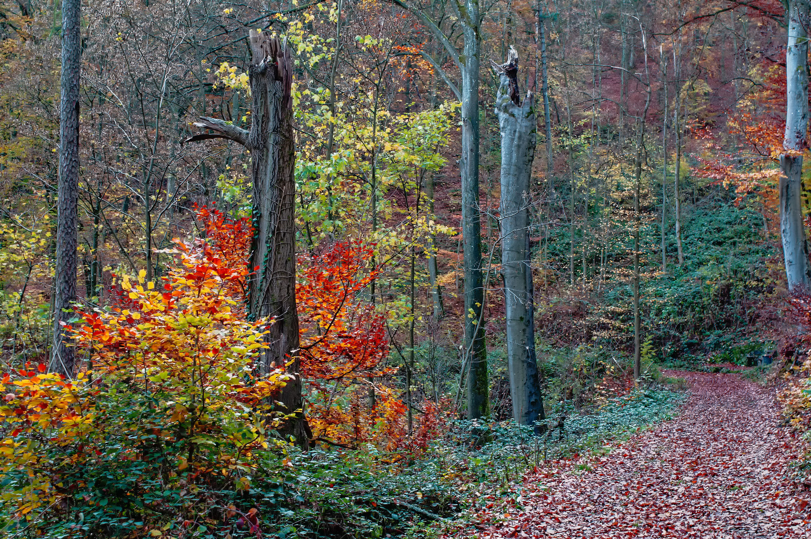 Herbstwanderung