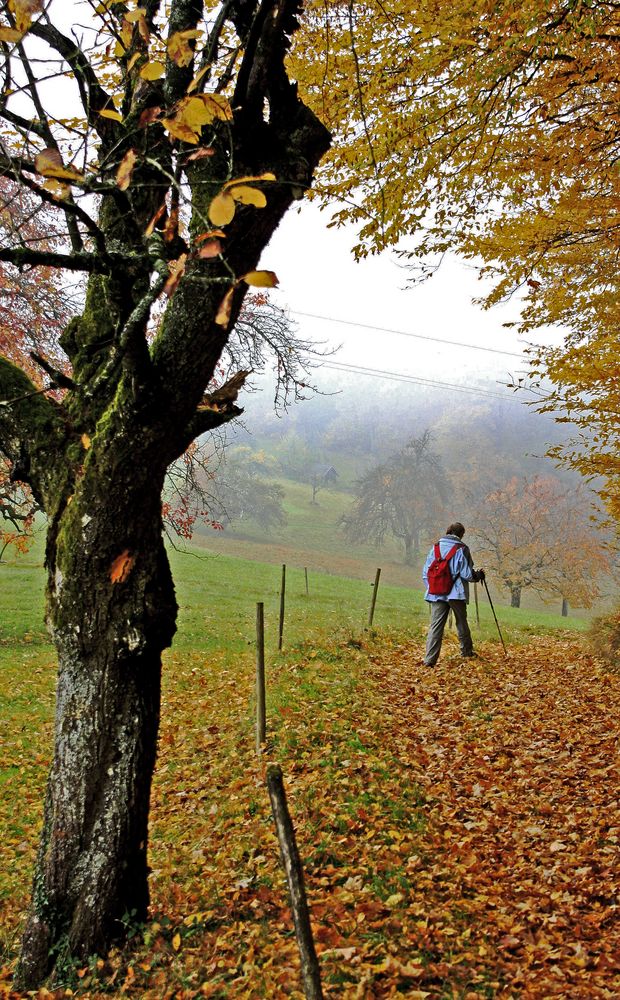 Herbstwanderung