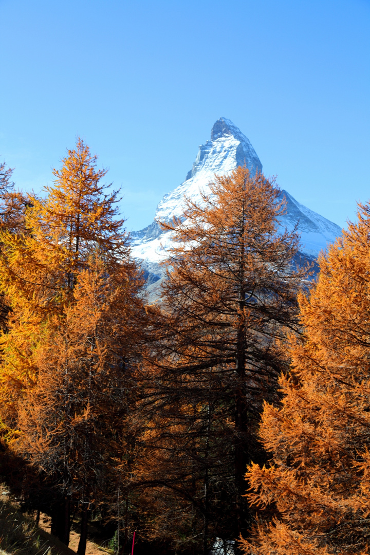 Herbstwanderung.