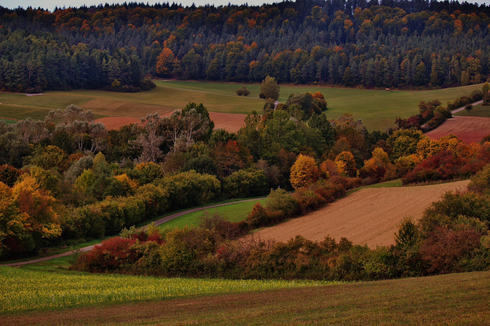 HERBSTWANDERUNG/ 1...