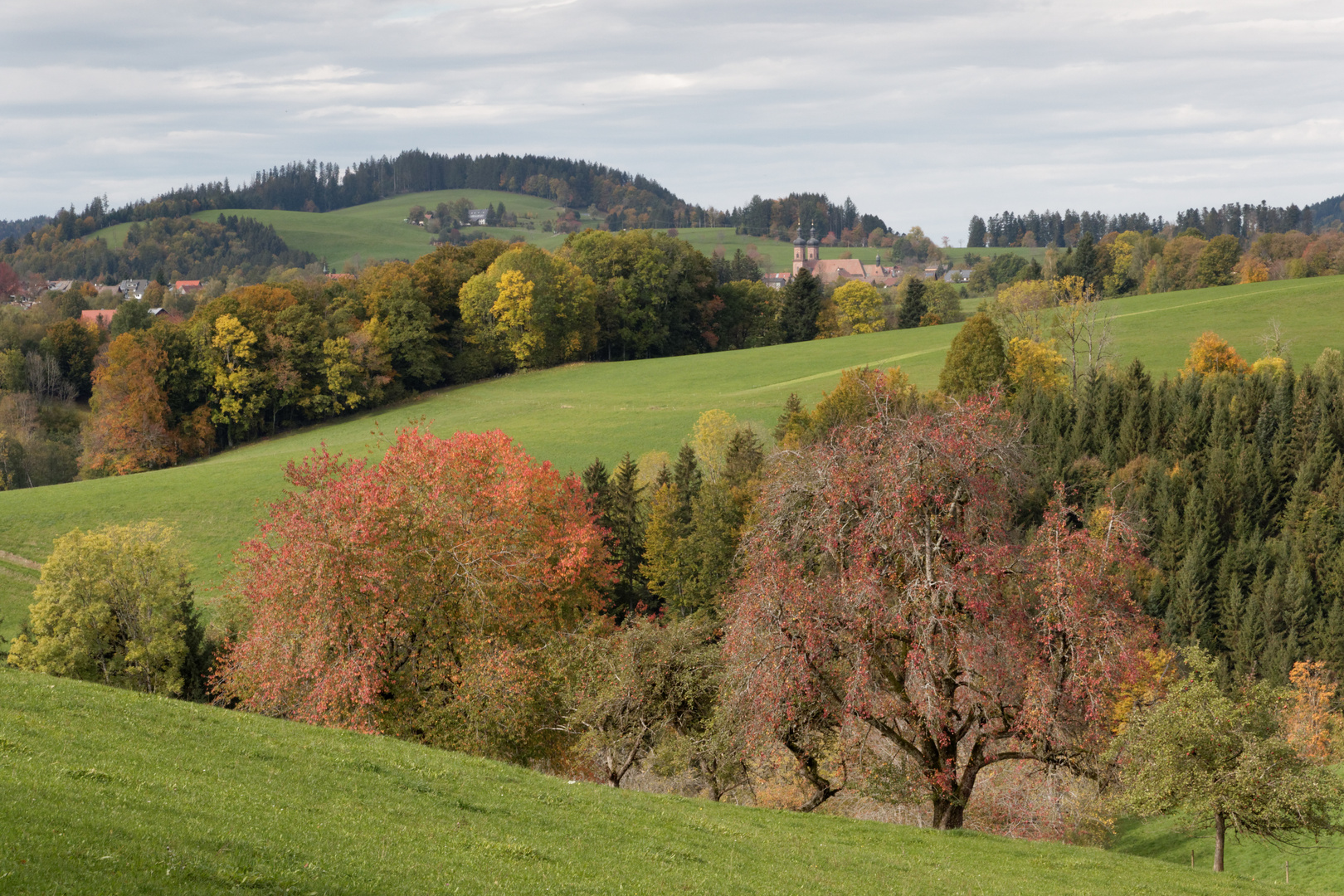 Herbstwanderung 1