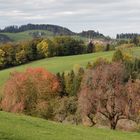 Herbstwanderung 1