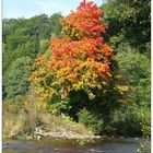 Herbstwanderung 1