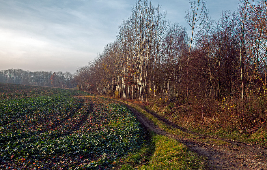 Herbstwanderung-1