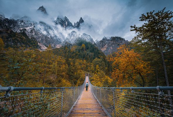 — herbstwanderung —