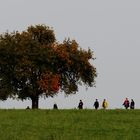 Herbstwanderung