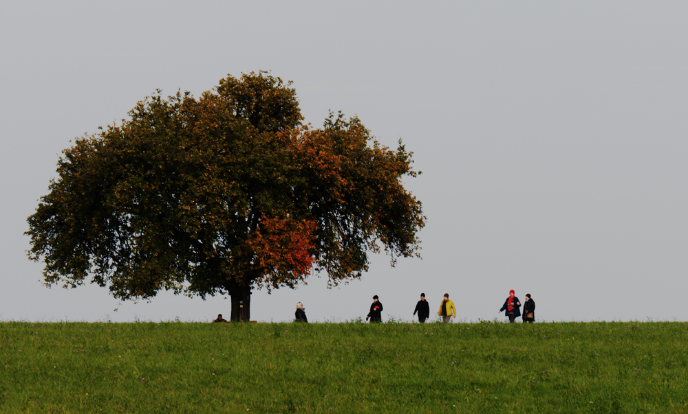 Herbstwanderung