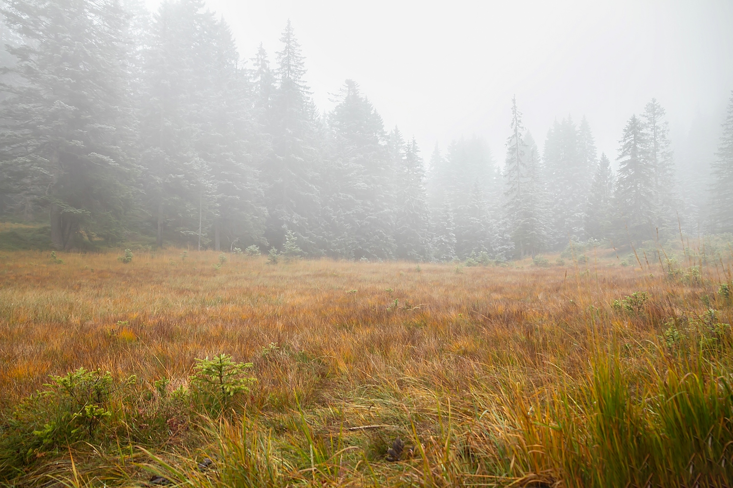 Herbstwanderung