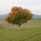 Herbstwanderung 2