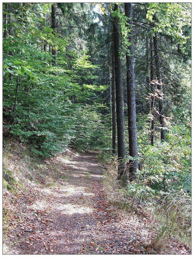 Herbstwanderung 2