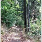 Herbstwanderung 2